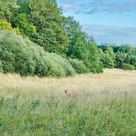 Maison Dans Les Bois Ferienhaus *