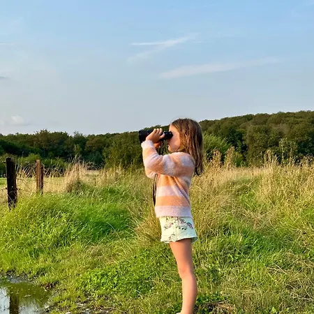 Maison Dans Les Bois *