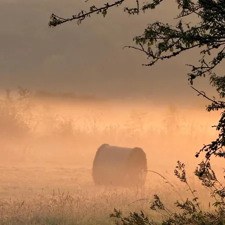 Maison Dans Les Bois Couvin