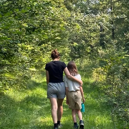 Maison Dans Les Bois *