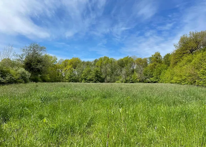 Maison Dans Les Bois Vakantiehuis
