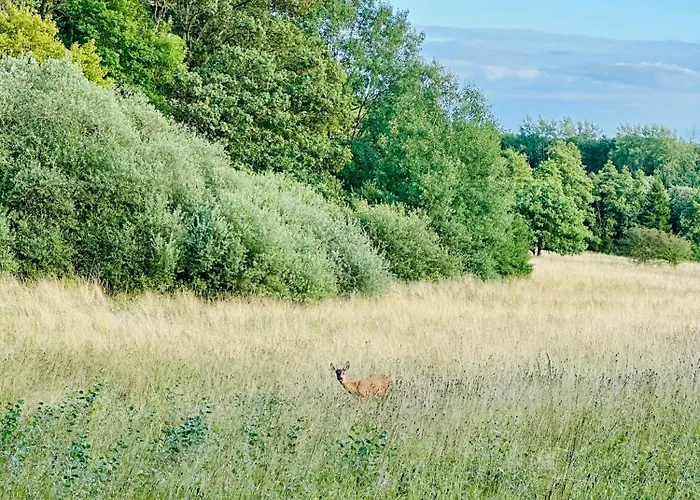 Maison Dans Les Bois Vakantiehuis *