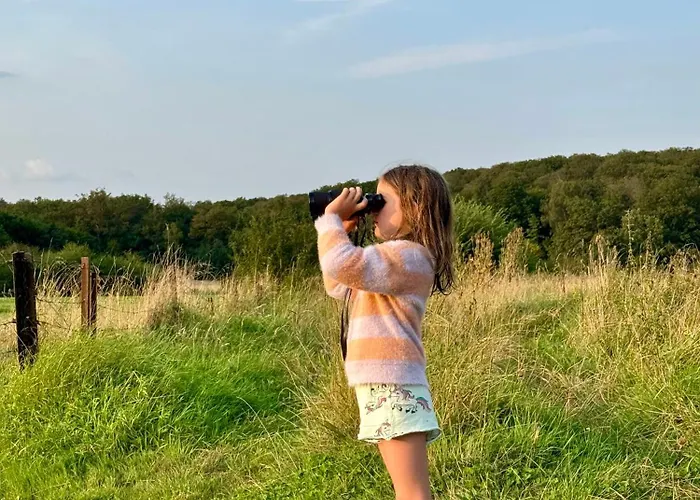 Maison Dans Les Bois *