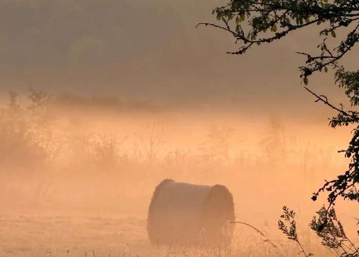 Maison Dans Les Bois Couvin